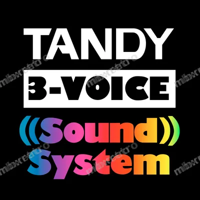 Tandy Sound System Black
